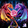 thedragonrose
