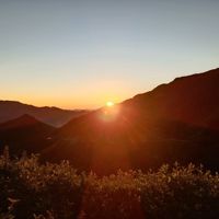 子夕sunnnn