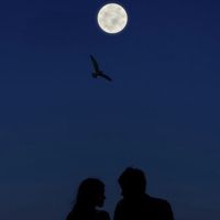StarryNight021