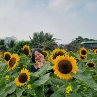 ĐỗThịKimAnh_star600