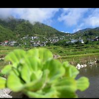 🏞️🌹🙂MLDP😊🎤🎶❤️