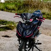 y155494