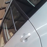 gato_331