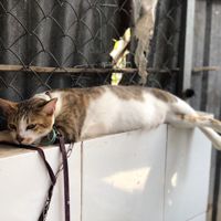 Huyền..Thoại