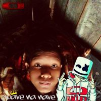 Lomdries098g_star186
