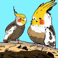 💣🎧บ้านอยู่หลังเขา⛔️🦔