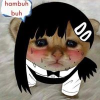 Sachi_ii