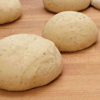 daydoughda
