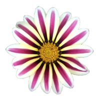 FloretteF