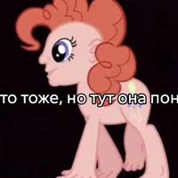 Pony827263737