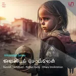 Avanidam solvaen-cover