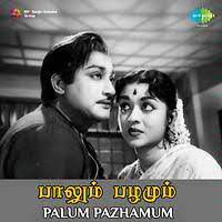 Ennai Yaar Endru  Short-cover