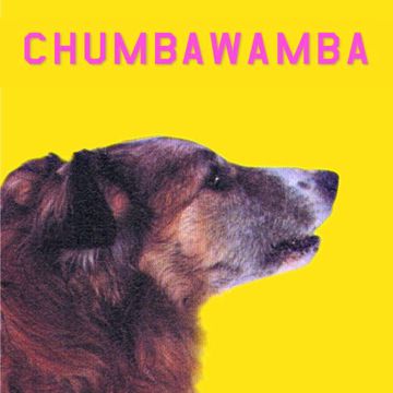 Dog-cover