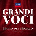 Ti Voglio Tanto Bene(Sung in English)-cover