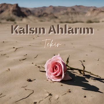 Kalsın Ahlarım-cover