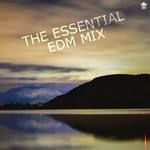 Calling(Alex Skrindo Remix)