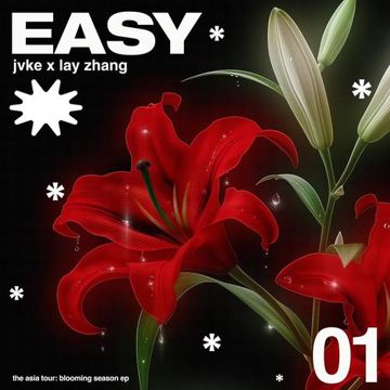 easy-cover