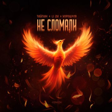 coveImg