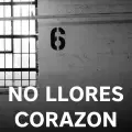 No Llores Corazon-cover