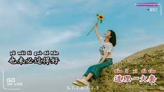 ngn-cn-v-cha-chc-pinyin-cover-image