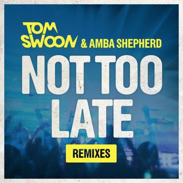 Not Too Late(Sebjak Remix)-cover