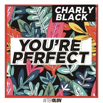You're Perfect-cover