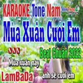 Mùa Xuân Cưới Em-cover