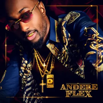 Afstand-cover