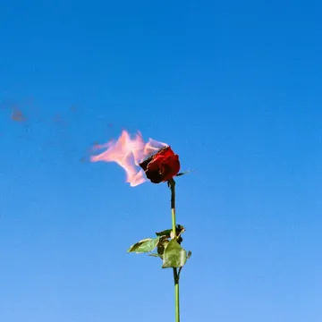 Glass Hearts (How Much You Mean)-cover