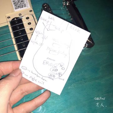 Cactus-cover