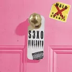 S3XO VIOL3NTO-cover