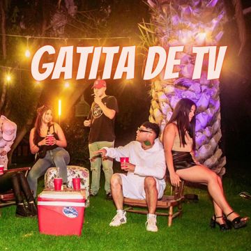 Gatita de Tv-cover