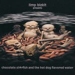 limp-bizkit-hold-on-cover-image