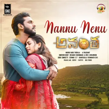 Nannu Nenu-cover