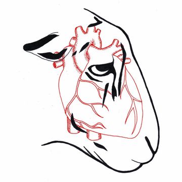 coveImg