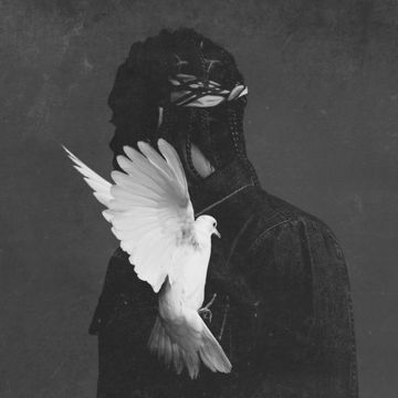 King Push-cover