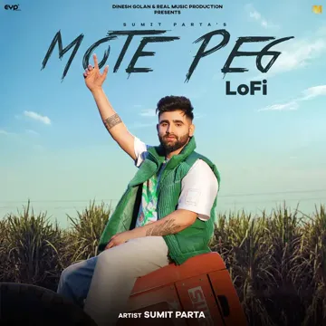 Mote Peg-cover