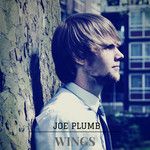Wings-cover