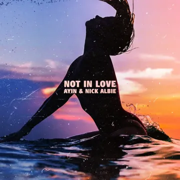 Not in Love-cover