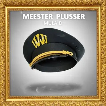 Meester Plusser-cover