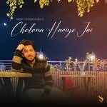 nibir-chowdhury-cholona-hariye-jai-cover-image