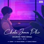 Chale Jaana Phir (Humko Tere Bina) [Lofi Mix]-cover