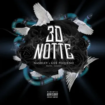 3D Notte-cover