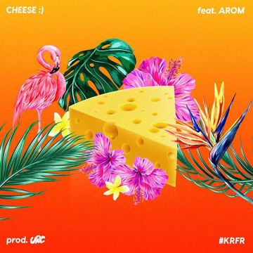 Cheese-cover