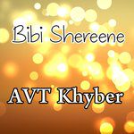 Zama Shereena Yara-cover
