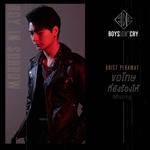 ขอโทษที่ยังร้องไห้ (Missing) / Boys Don't Cry-cover
