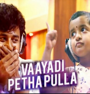 Vaayadi Petha Pulla (Short Ver.)