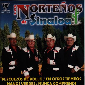 Y nunca comprendí