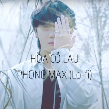 Hoa Cỏ Lau (Lo-Fi Version)-cover