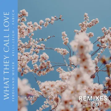 What They Call Love (Warren Remix)-cover